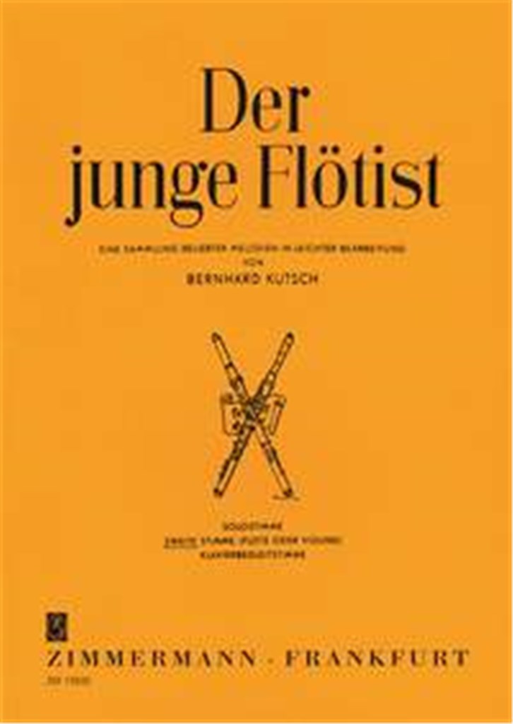 Der junge Flötist
